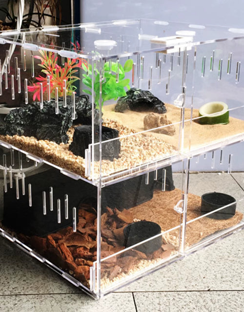 Load image into Gallery viewer, 4 Grids Acrylic Pet Lizard Crawling Box Reptile Tank Insect Spiders Lizard Breeding
